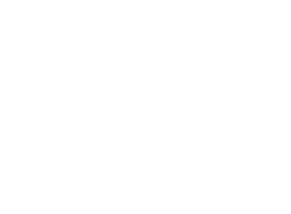 Marelli Motori Россия